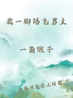 我一脚踢飞男主